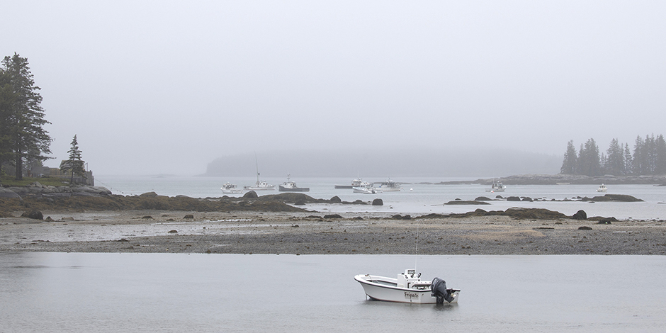 misty maine coast
